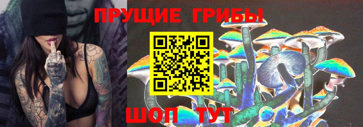 Псилоцибиновые грибы ЛСД  Вход с VPN  где найти наркотики  Дубна  Псилоцибиновые грибы GOLDEN TEACHER 