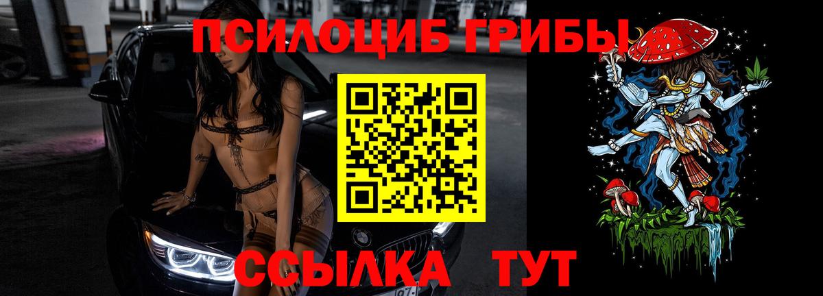 Псилоцибиновые грибы Cubensis Дубна